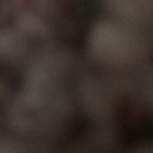 Meet your Posher, Braden